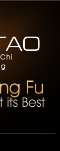 Academy of Kung Fu